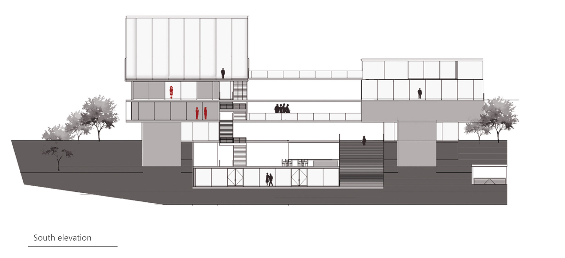 Cinema